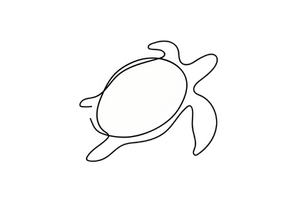 Tortuga Arrecife Bienestar